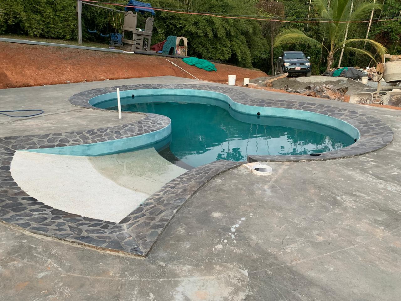 Freeform swimming pool with poured terrace